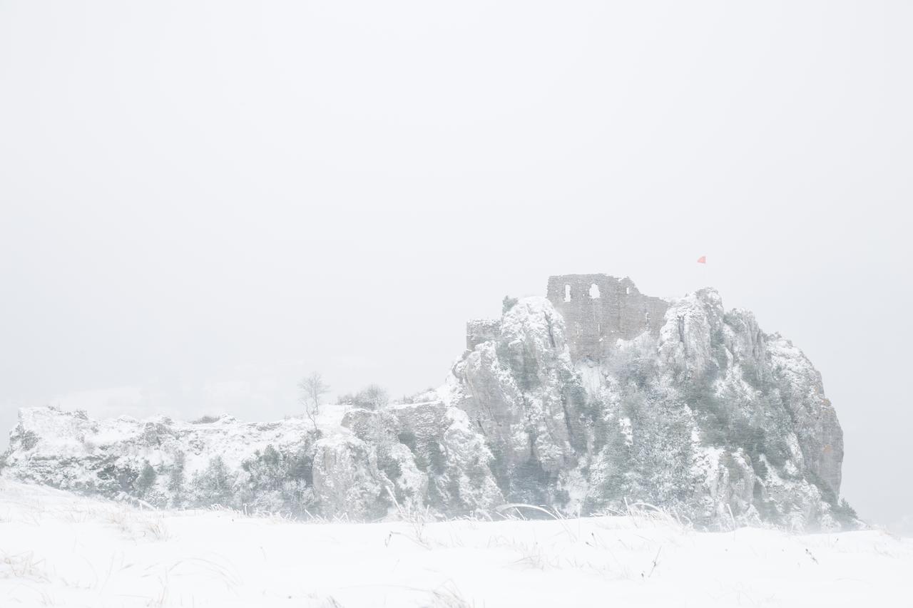 Gite D'Etape De Roquefixade Dış mekan fotoğraf
